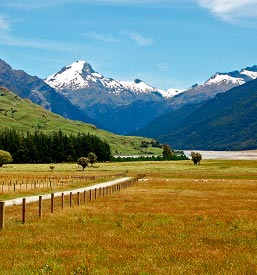 New Zealand Trips